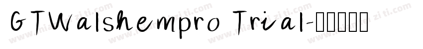 GTWalshempro Trial字体转换